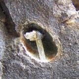 Escolecita<br />Barranco de Las Angustias, El Paso, La Palma, Provincia de Santa Cruz de Tenerife, Canarias, España<br />0''5 cm. la vacuola<br /> (Autor: canada)