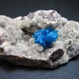 Pentagonita - Cavansita
Wagholi Quarries, Wagholi, Pune District, Maharashtra, India
5 x 3 cm.
Un agregado azul de pequeños cristales en una cavidad del basalto tapizada por productos de alteración. (Autor: prcantos)