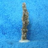 Calcita
Mina Herculano, El Puntal, Zona Campos de Golf, Atamaria, Sierra Minera de Cartagena-La Unión, Cartagena, Murcia, España
7,5 x 1 cm
Calcita granular. Otro angulo (Autor: Pedro Conesa)