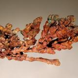 Copper
Onganja Mine, Seeis, Windhoek District, Namibia
4.0 x 7.2 cm
A branching group of elongated dodecahedrons, lightly coated with cuprite and minor malachite. (Author: crosstimber)