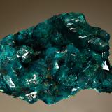 Dioptase
Tantara Mine, Shinkolobwe, Katanga Prov., DR Congo
4.8 x 6.3 cm
Emerald-green crystals of dioptase on a chrysocolla matrix. (Author: crosstimber)