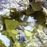 Azufre
El Aila, Laredo, Cantabria, España
8x6,5cm; cristal mayor 3cm (Autor: PabloR)