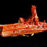 Crocoite
Adelaide Mine, Dundas Mineral field, Zeehan District, Tasmania, Australia
1.5 x 4.3 cm
Doubly-terminated, crocoite crystal with a hoppered termination and a partial coating of yellowish-gray gibbsite. (Author: crosstimber)