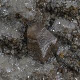 Quartz, Calcite
Roncari Quarry, East Granby, Hartford Co., Connecticut, USA
Calcite Detail (Author: am mizunaka)