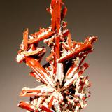 Crocoite
Adelaide Mine, Dundas, Tasmania, Australia
4.6 x 7.7 cm
Reddish-orange aggregate of prismatic crocoite crystals with hollow 
terminations and partially covered with gray-white gibbsite. (Author: crosstimber)