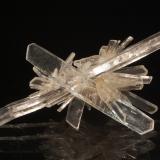 Gypsum
Angervillieres Quarry, Essone, Ile-de-France, France
4.4 x 7.3 cm
An intersecting group of transparent gypsum crystals from an defunct locality just outside Paris. (Author: crosstimber)