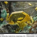 Wulfenite<br />Dulcinea de Llampos Mine, Cachiyuyo de Llampos, Copiapó Province, Atacama Region, Chile<br />fov 3.5 mm<br /> (Author: ploum)