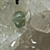 CookeiteMina Green's Crystal, Paron, Saline County, Arkansas, USA7.5 x 11.5 cm, FOV ~ 2.0 cm (Author: crosstimber)