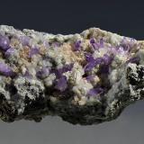 Quartz (var. amethyst), CalciteCantera Capurru, Osilo, Provincia Sassari, Cerdeña/Sardegna, Italia12.5 x 5.3 x 4.5 cm (Author: Martin Rich)