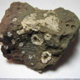 Basalto amigdaloide
El Peñón, Alamedilla, Granada, Andalucía, España
5’5 x 5’5 cm.
Basalto o basanita con cavidades rellenas por calcita ± zeolitas. (Autor: prcantos)