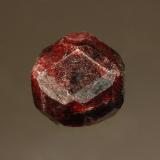 AlmandineGarnet Ledge, Wrangell, Wrangell Island, Wrangell-Petersburg Borough, Alaska, USA1.0 x 1.0 cm (Author: crosstimber)