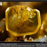 Wulfenite<br />Dulcinea de Llampos Mine, Cachiyuyo de Llampos, Copiapó Province, Atacama Region, Chile<br />fov 2.2 mm<br /> (Author: ploum)